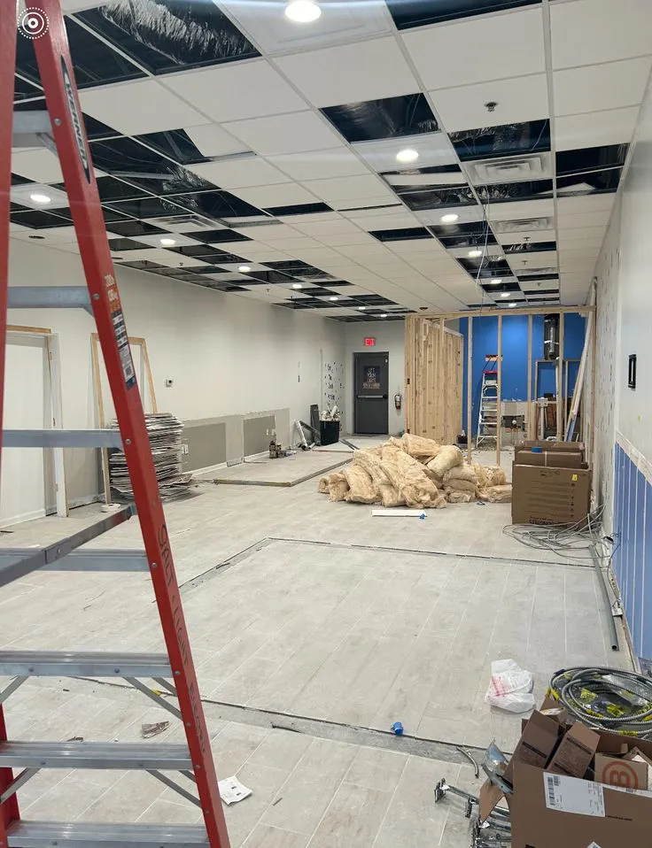 صورة المقال