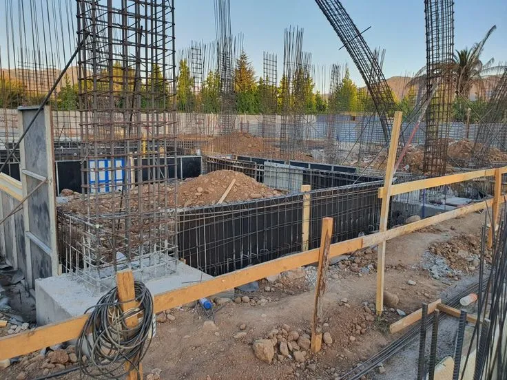 صورة المقال