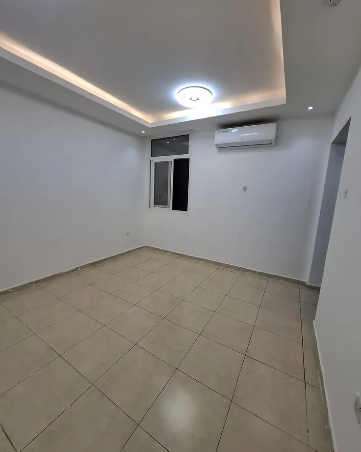 صورة المقال